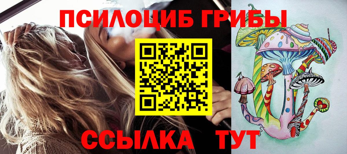Псилоцибиновые грибы Cubensis Воркута