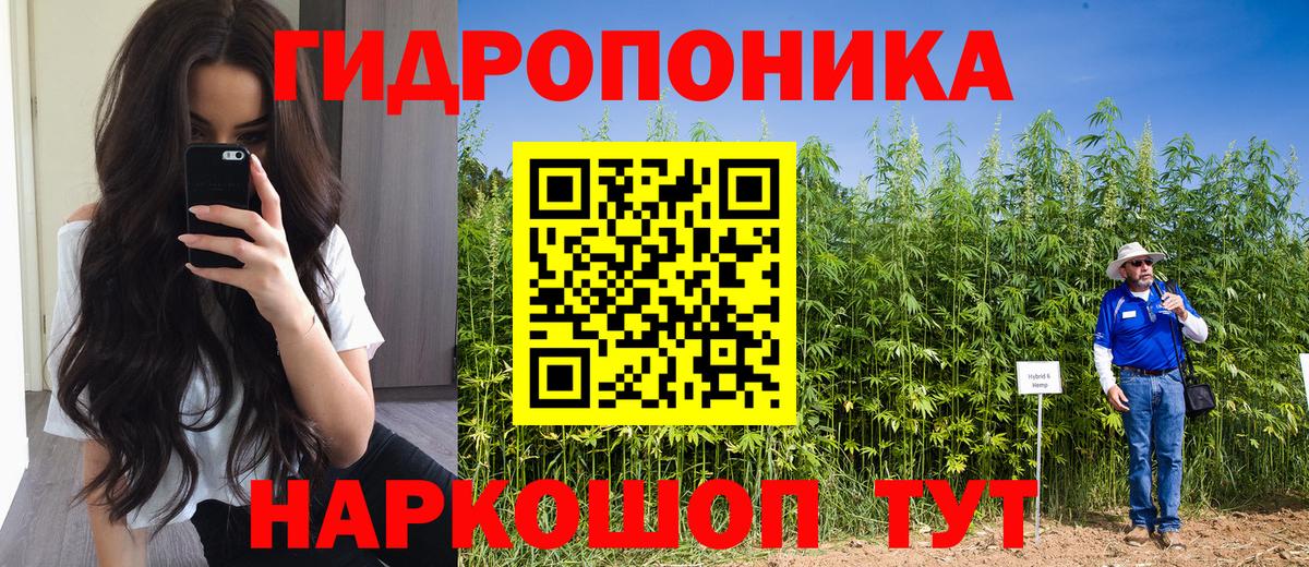 МАРИХУАНА семена Воркута